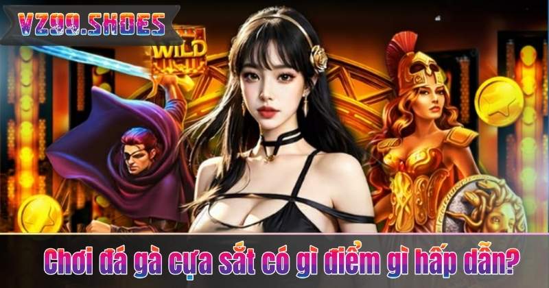 Cách Chơi Đá Gà Cựa Sắt – Bí Quyết Theo Dõi Và Soi Kèo Từ VZ99 6 Chơi đá gà cựa sắt có gì điểm gì hấp dẫn?