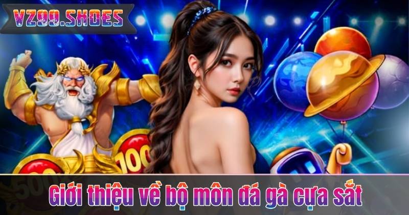 Cách Chơi Đá Gà Cựa Sắt – Bí Quyết Theo Dõi Và Soi Kèo Từ VZ99 5 Giới thiệu về bộ môn đá gà cựa sắt